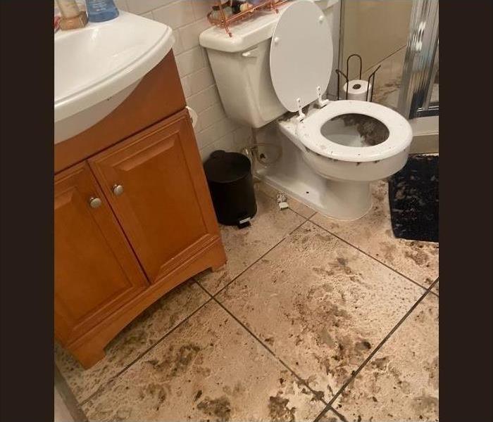 A toilet in Albany had a sewage backup issue that went all over the floor in the bathroom.