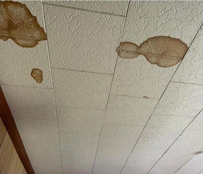 A ceiling in Albany with water stains.