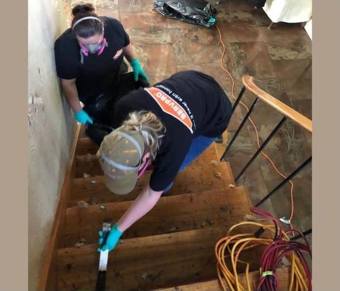 Our SERVPRO technicians ripping up carpet on the stairs of an Albany home to access water damage.