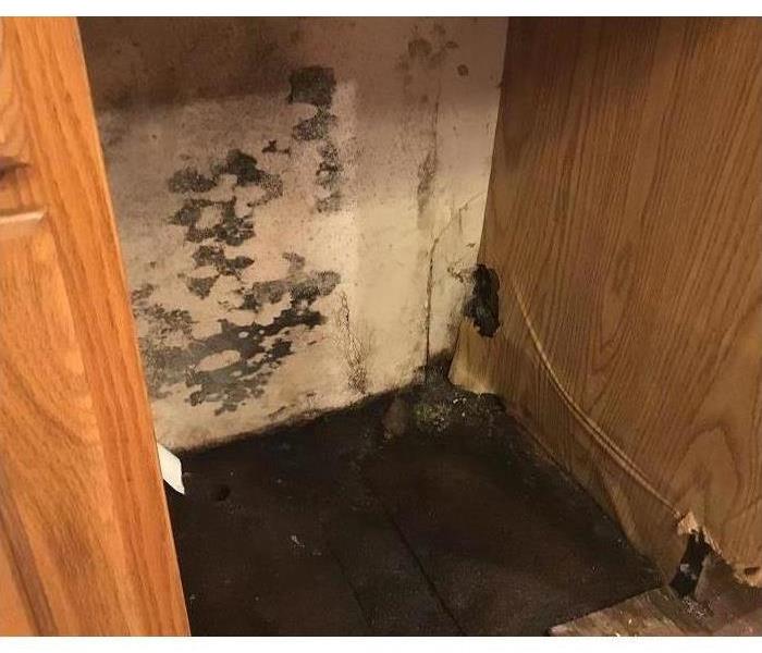 Mold growing on the wall behind where the dishwasher was located due to a leak.